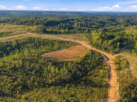 Discover Your 6.16-Acre Haven at Birdsong Landing in Benton County!