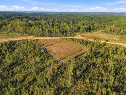 Discover Your 6.16-Acre Haven at Birdsong Landing in Benton County!