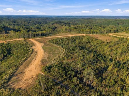 5.5 Acres in Benton County: A Blank Canvas at Birdsong Landing