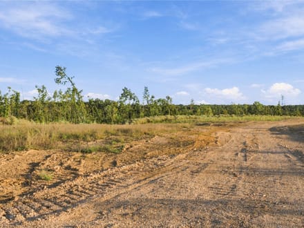 5.5 Acres in Benton County: A Blank Canvas at Birdsong Landing