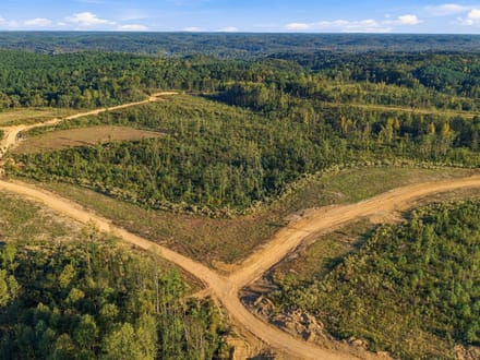 5.5 Acres in Benton County: A Blank Canvas at Birdsong Landing
