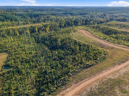 5.5 Acres in Benton County: A Blank Canvas at Birdsong Landing