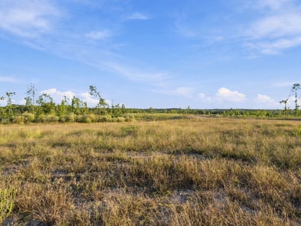 5.5 Acres in Benton County: A Blank Canvas at Birdsong Landing