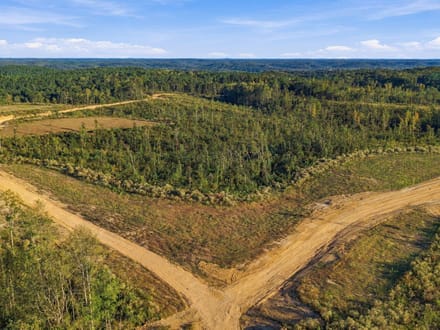 5.5 Acres in Benton County: A Blank Canvas at Birdsong Landing