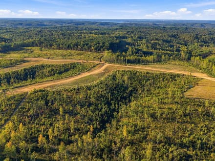 5.5 Acres in Benton County: A Blank Canvas at Birdsong Landing