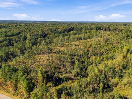 13.85 Wooded Acres in Benton County's Birdsong Landing!