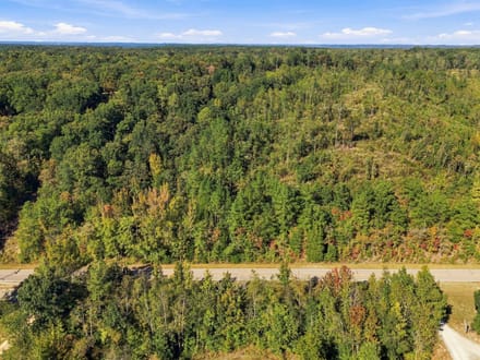 13.85 Wooded Acres in Benton County's Birdsong Landing!