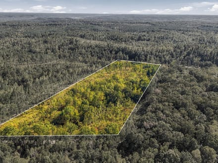 13.85 Wooded Acres in Benton County's Birdsong Landing!