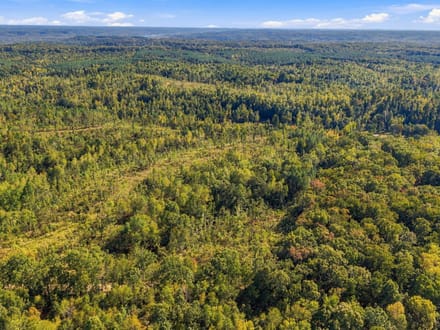 13.85 Wooded Acres in Benton County's Birdsong Landing!