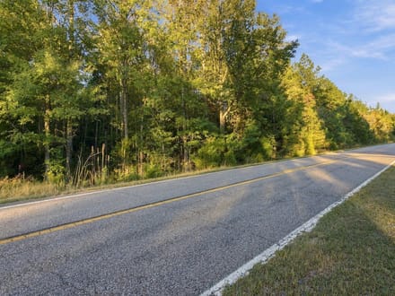 13.85 Wooded Acres in Benton County's Birdsong Landing!