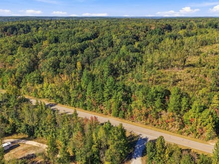 13.85 Wooded Acres in Benton County's Birdsong Landing!