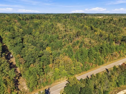13.85 Wooded Acres in Benton County's Birdsong Landing!