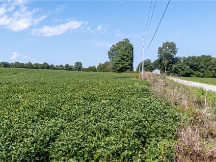 Multi-Parcel Land Auction 5 acres Licking County