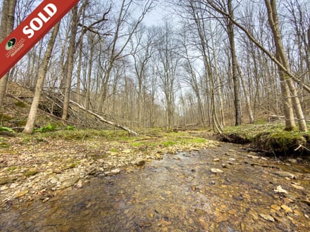 140 Acres - St Rt 258