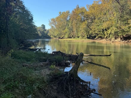 Unique 17±AC Recreational Property in Butler Co.