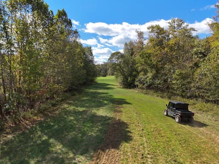 Beautiful 148± AC Tract in Ripley Co.