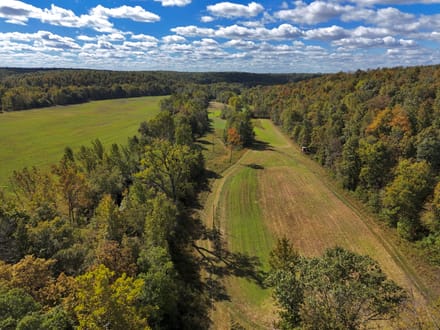 Beautiful 148± AC Tract in Ripley Co.