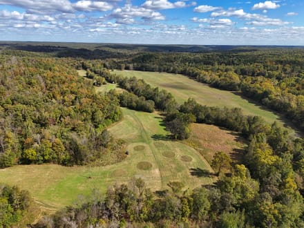 Beautiful 148± AC Tract in Ripley Co.