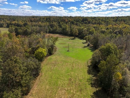Beautiful 148± AC Tract in Ripley Co.