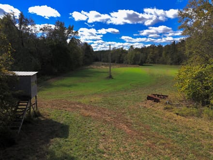 Beautiful 148± AC Tract in Ripley Co.