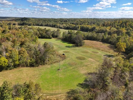 Beautiful 148± AC Tract in Ripley Co.