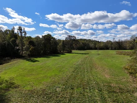 Beautiful 148± AC Tract in Ripley Co.