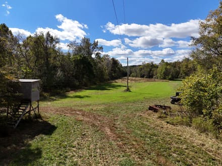 Beautiful 148± AC Tract in Ripley Co.
