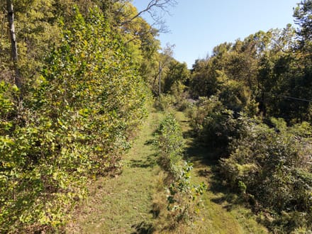 Rare Natural Spring - 40±AC of Unlimited Potential in Mill Spring, MO