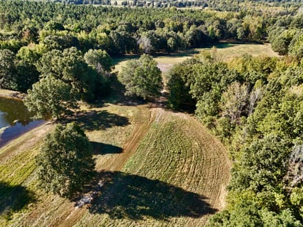 70±AC of Pristine Missouri Countryside