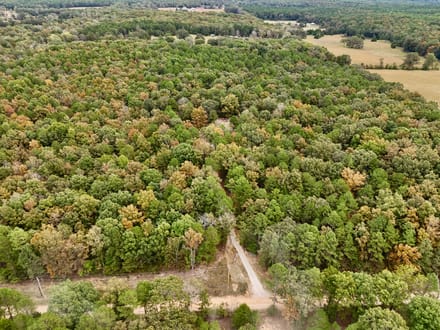 Custom-Built Haven on 20±  AC of Marketable Timber
