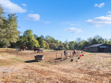 41 Acres of Middle TN Possibilites!