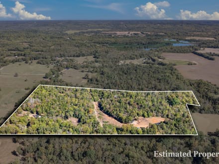41 Acres of Middle TN Possibilites!