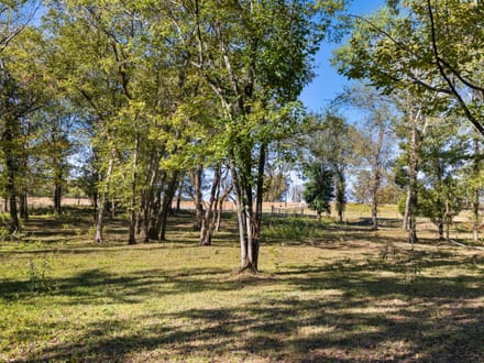 41 Acres of Middle TN Possibilites!