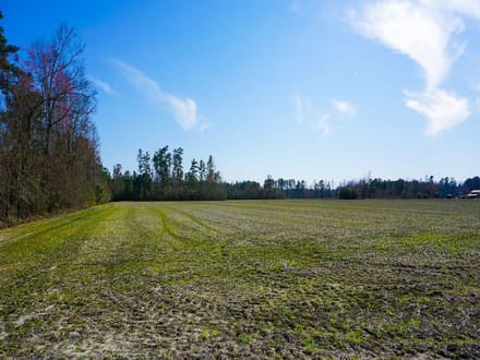 Tranquil Road Farm
