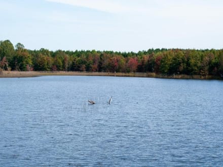 Ray Branch Farm
