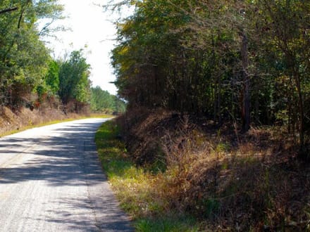 Ray Branch Farm