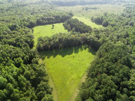 Four Holes Tract