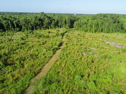 Four Holes Tract