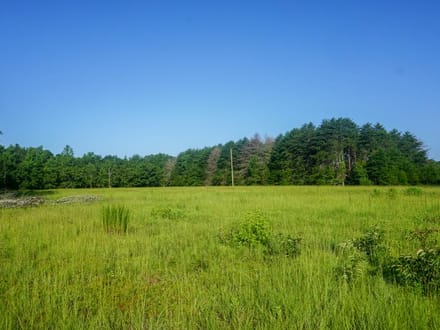 Four Holes Tract