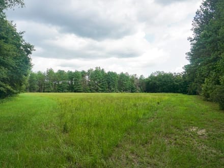 Four Holes Tract