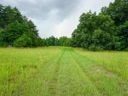 Four Holes Tract