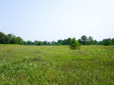 Fore Tract