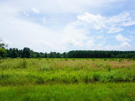 Zion Road Farm