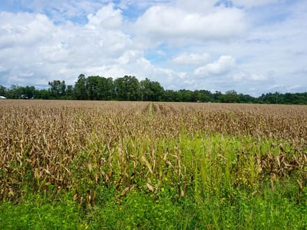 Zion Road Farm