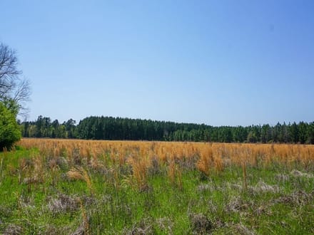 Zion Road Farm
