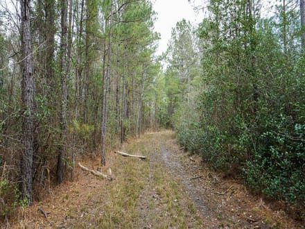 Zion Road Farm