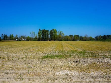 Zion Road Farm