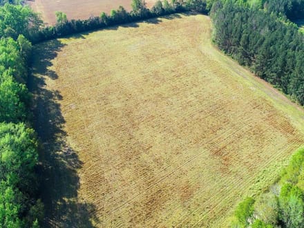 Dunwoody Dr. Farm