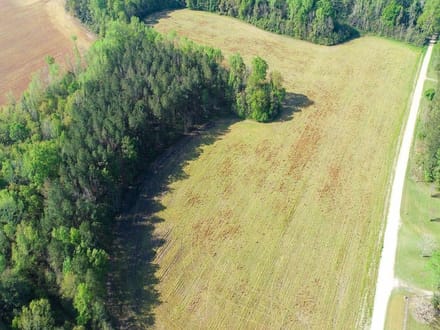 Dunwoody Dr. Farm