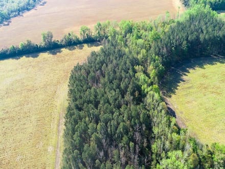 Dunwoody Dr. Farm